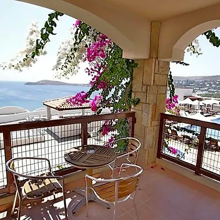 酒店 Jura Bodrum 4*