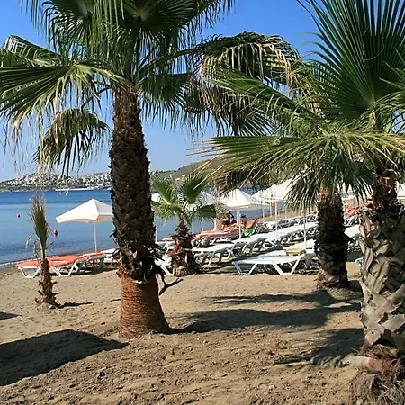 Jura Bodrum